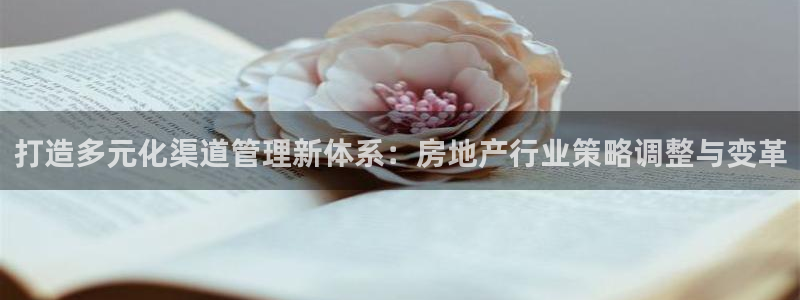 新宝5注册流程：打造多元化渠道管理新体系：房地产行业策略调整