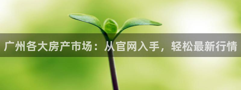 新宝5策略：广州各大房产市场：从官网入手，轻松最新行情