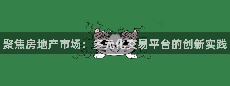 新宝5 唯一：聚焦房地产市场：多元化交易平台的创新实践