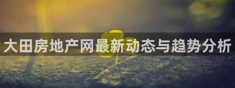 新宝骏rc5W：大田房地产网最新动态与趋势分析