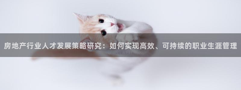 新宝cR一5：房地产行业人才发展策略研究：如何实现高效、可持