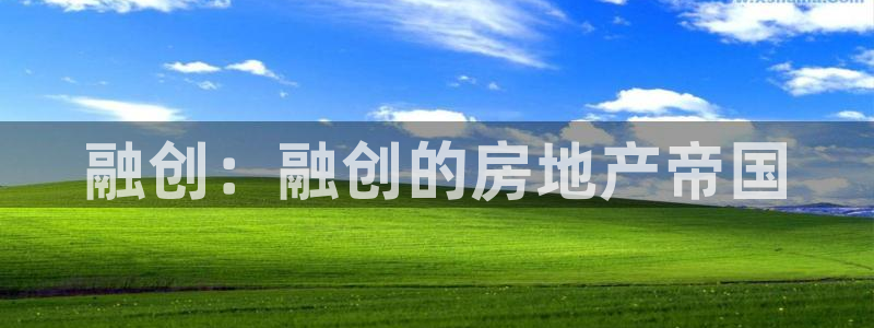 新宝m2O5O5O：融创：融创的房地产帝国