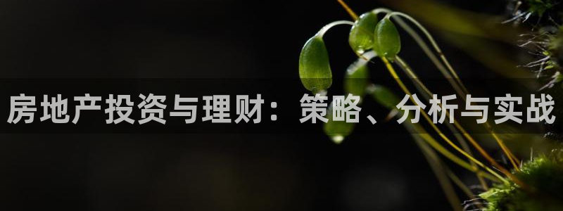 新宝5网站：房地产投资与理财：策略、分析与实战