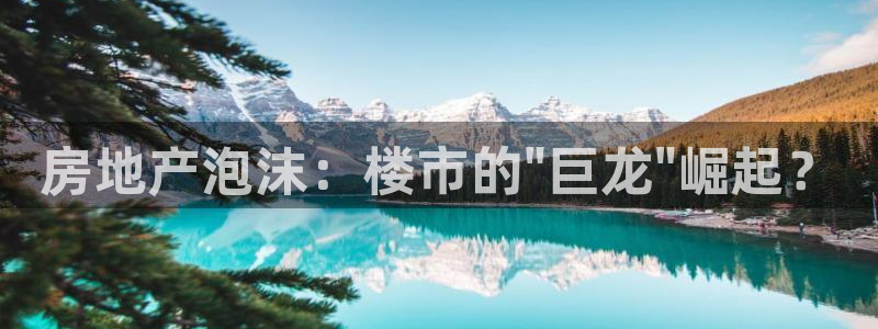 新宝堂新会陈皮5年：房地产泡沫：楼市的\