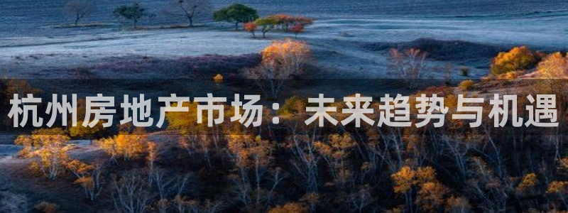 新宝5d：杭州房地产市场：未来趋势与机遇