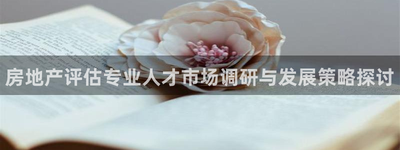 新宝5网站：房地产评估专业人才市场调研与发展策略探讨