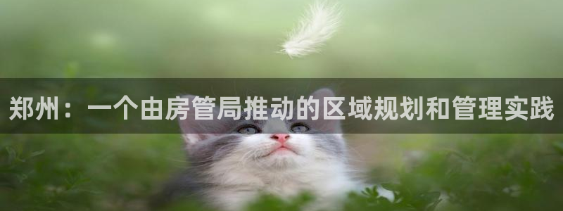 新宝5挂机软件：郑州：一个由房管局推动的区域规划和管理实践