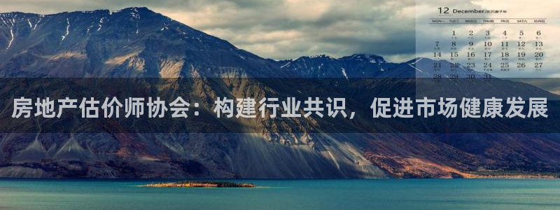 新宝5秒开：房地产估价师协会：构建行业共识，促进市场健康发展