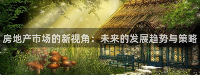 新宝5公司：房地产市场的新视角：未来的发展趋势与策略