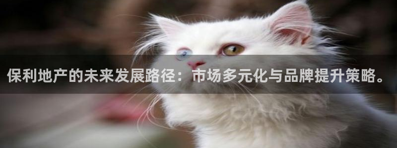 新宝5官网霸：保利地产的未来发展路径：市场多元化与品牌提升策