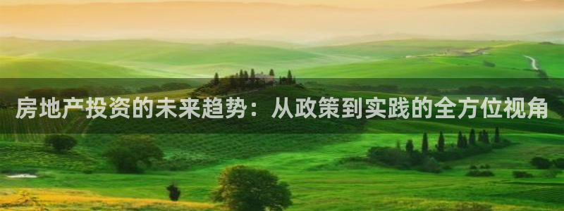 新宝5褚32OO59：房地产投资的未来趋势：从政策到实践的全