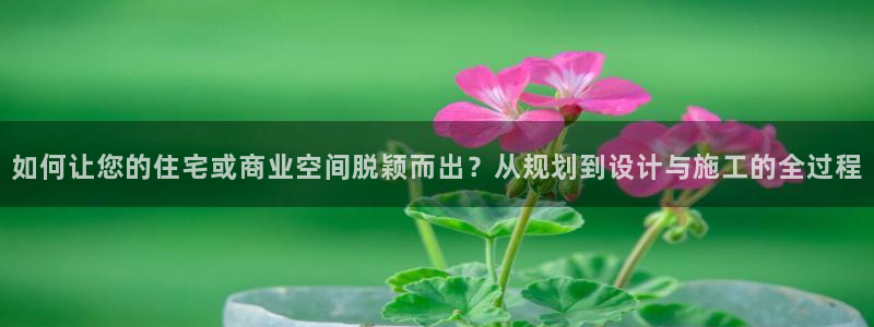 新宝5线路登录：如何让您的住宅或商业空间脱颖而出？从规划到设