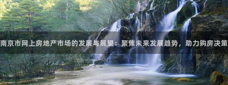 新宝5平台登录：南京市网上房地产市场的发展与展望：聚焦未来发