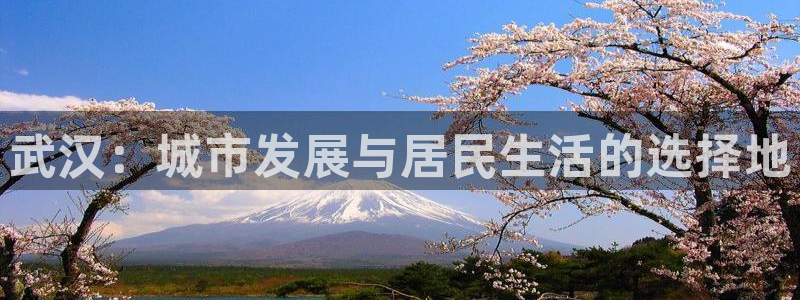 新宝5导师：武汉：城市发展与居民生活的选择地