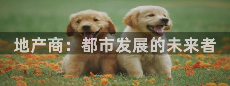 新宝5户端：地产商：都市发展的未来者