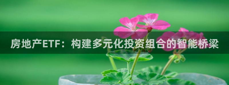 新宝5登录界面：房地产ETF：构建多元化投资组合的智能桥梁