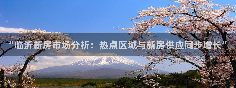 新宝5吴74OOO5：“临沂新房市场分析：热点区域与新房供应