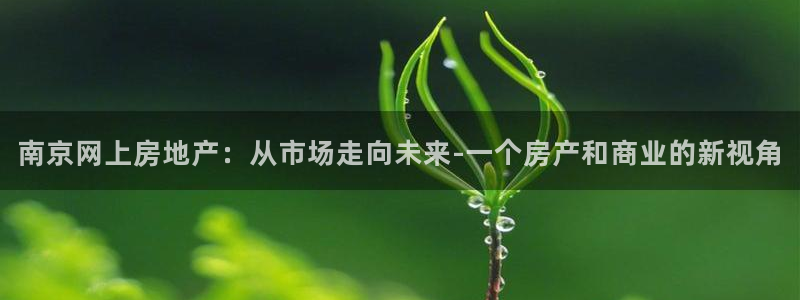 新宝5注册首页：南京网上房地产：从市场走向未来-一个房产和商