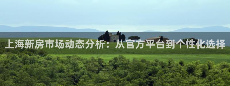 新宝5秒开：上海新房市场动态分析：从官方平台到个性化选择