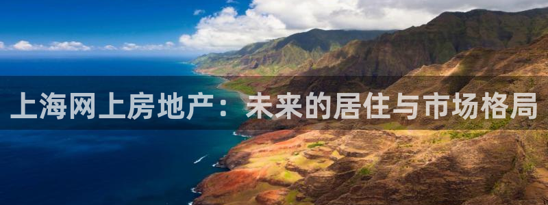 新宝5下载官方：上海网上房地产：未来的居住与市场格局