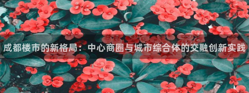 新宝5手机版：成都楼市的新格局：中心商圈与城市综合体的交融创