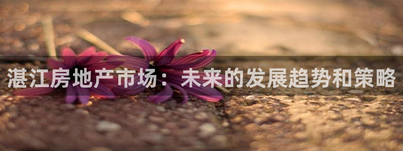 新宝5在哪里：湛江房地产市场：未来的发展趋势和策略