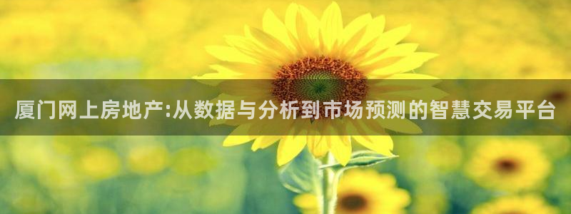 新宝5天：厦门网上房地产:从数据与分析到市场预测的智慧交易平