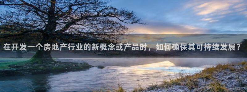 新宝新5：在开发一个房地产行业的新概念或产品时，如何确保其可