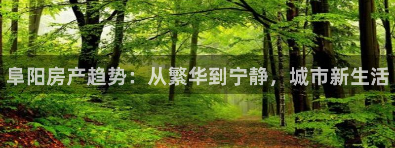 新宝5导师：阜阳房产趋势：从繁华到宁静，城市新生活