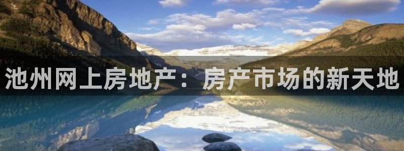 新宝股东张听2 5 5：池州网上房地产：房产市场的新天地