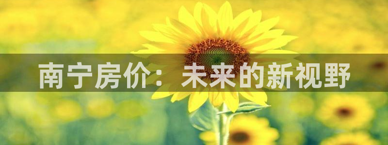 新宝5 注册：南宁房价：未来的新视野