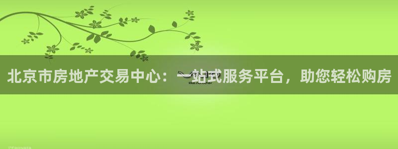 新宝5注册链接：北京市房地产交易中心：一站式服务平台，助您轻