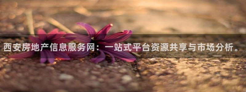 新宝5新宝6顺达：西安房地产信息服务网：一站式平台资源共享与