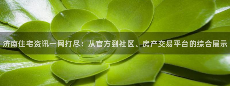 新宝5得74OOO5：济南住宅资讯一网打尽：从官方到社区、房