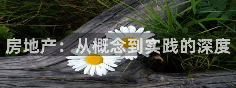 新宝 5测速：房地产：从概念到实践的深度