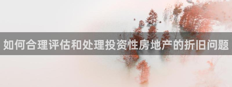 新宝5是什么样子的：如何合理评估和处理投资性房地产的折旧问题