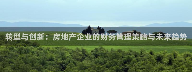 新宝5如何注册：转型与创新：房地产企业的财务管理策略与未来趋