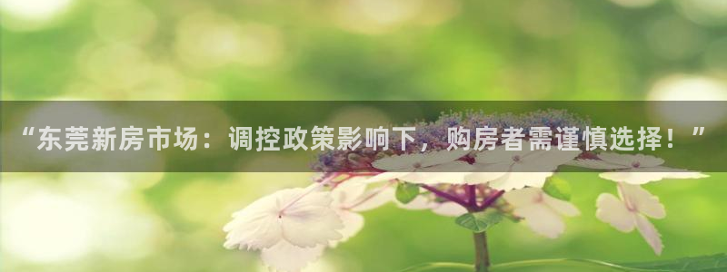 新宝集团新宝5：“东莞新房市场：调控政策影响下，购房者需谨慎