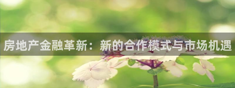 新宝5 测速：房地产金融革新：新的合作模式与市场机遇