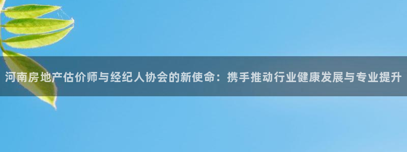 新宝股东张听2 5 5：河南房地产估价师与经纪人协会的新使命