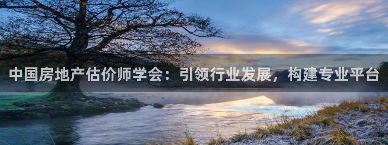 新宝5d：中国房地产估价师学会：引领行业发展，构建专业平台