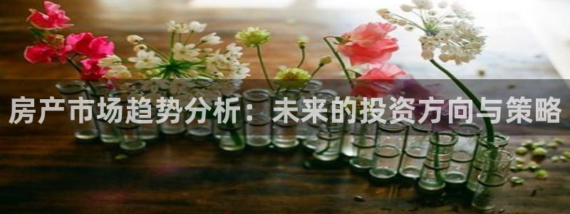 新宝xb5：房产市场趋势分析：未来的投资方向与策略