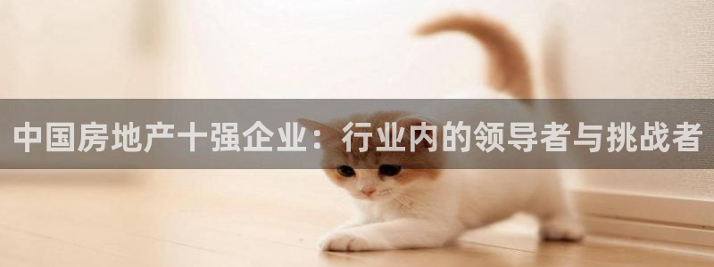 新宝5娱乐没：中国房地产十强企业：行业内的领导者与挑战者