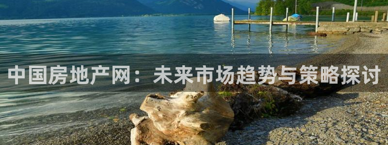 新宝5是谁的：中国房地产网：未来市场趋势与策略探讨