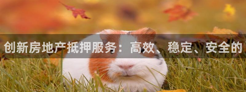 新宝5王问74OOO5：创新房地产抵押服务：高效、稳定、安全