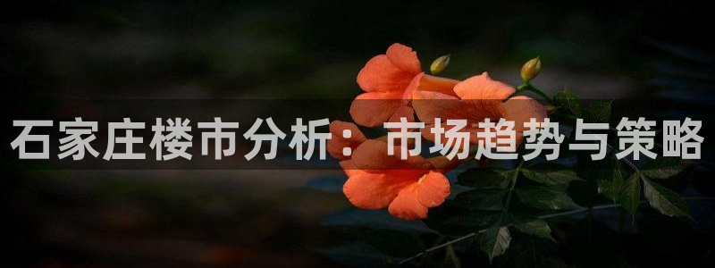 新宝5娱乐：石家庄楼市分析：市场趋势与策略