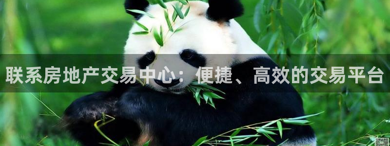 新宝5月：联系房地产交易中心：便捷、高效的交易平台