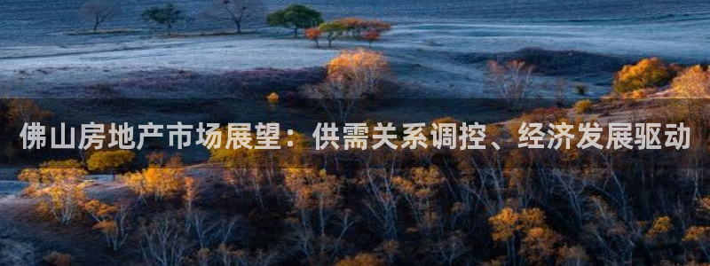 新宝5网：佛山房地产市场展望：供需关系调控、经济发展驱动