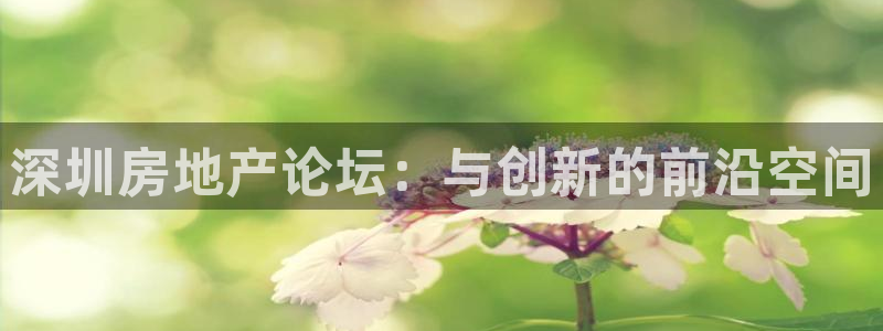 新宝股东张听2 5 5：深圳房地产论坛：与创新的前沿空间