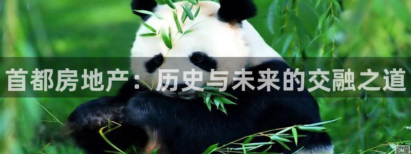 新宝5挂机软件：首都房地产：历史与未来的交融之道